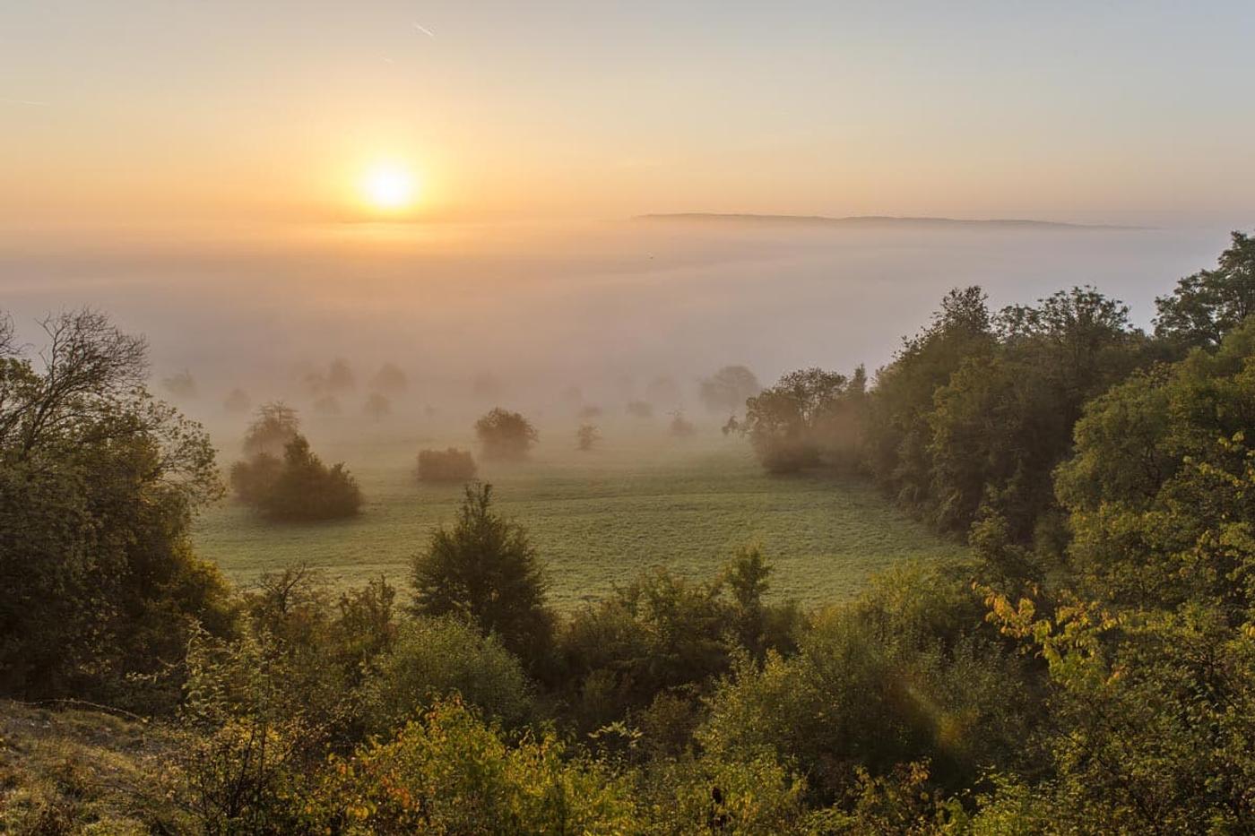 Naturparadies Bliesgau