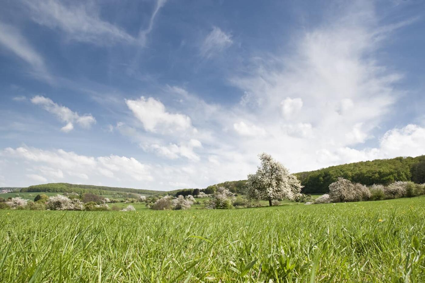 Naturparadies Bliesgau