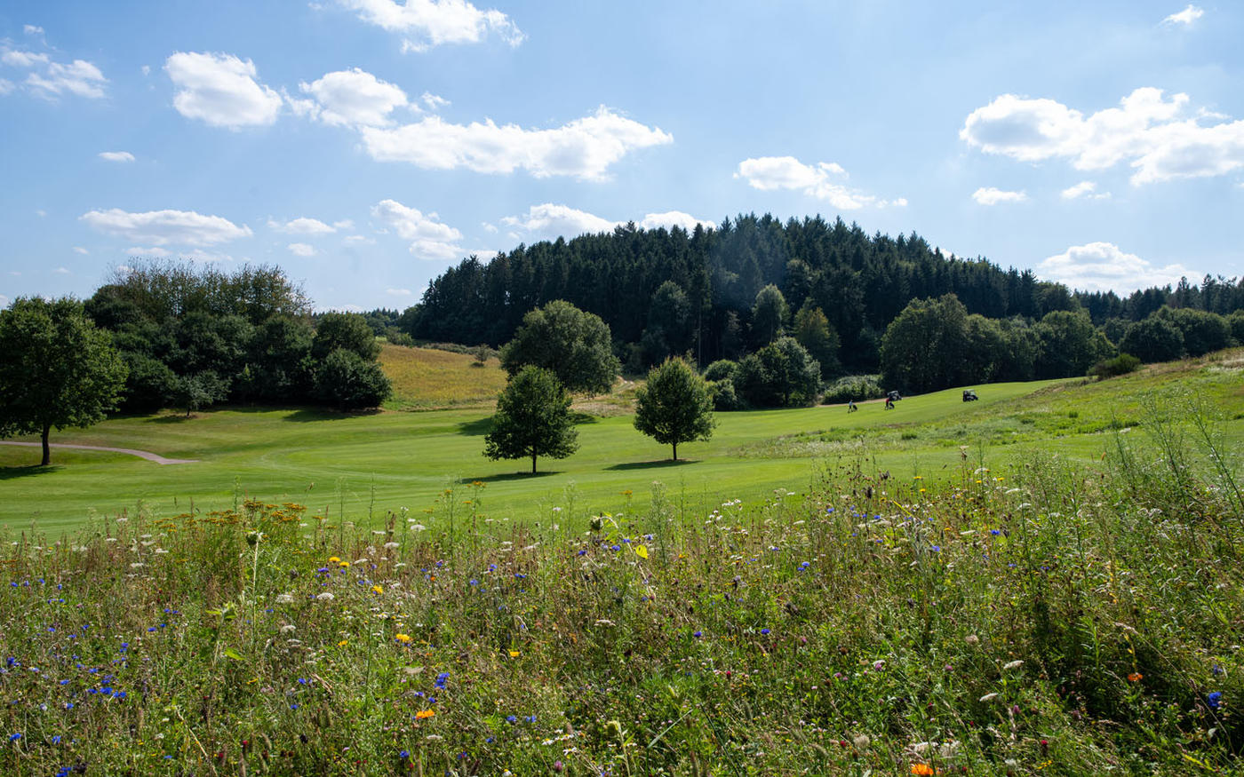 Herausforderung und Natur im Einklang