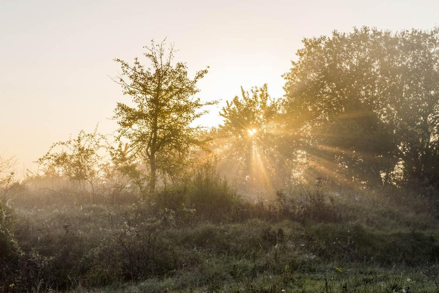 Naturparadies Bliesgau