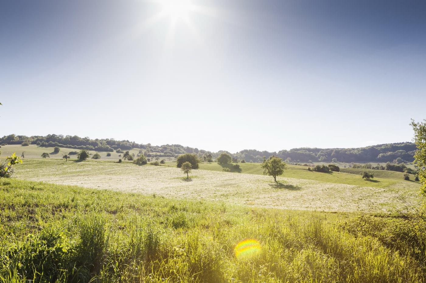 Naturparadies Bliesgau