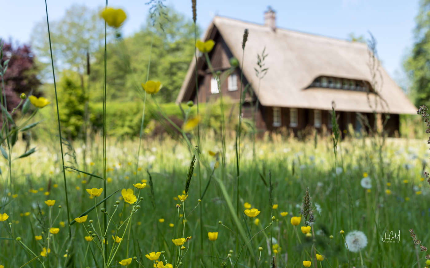 Spreewald Trilogie