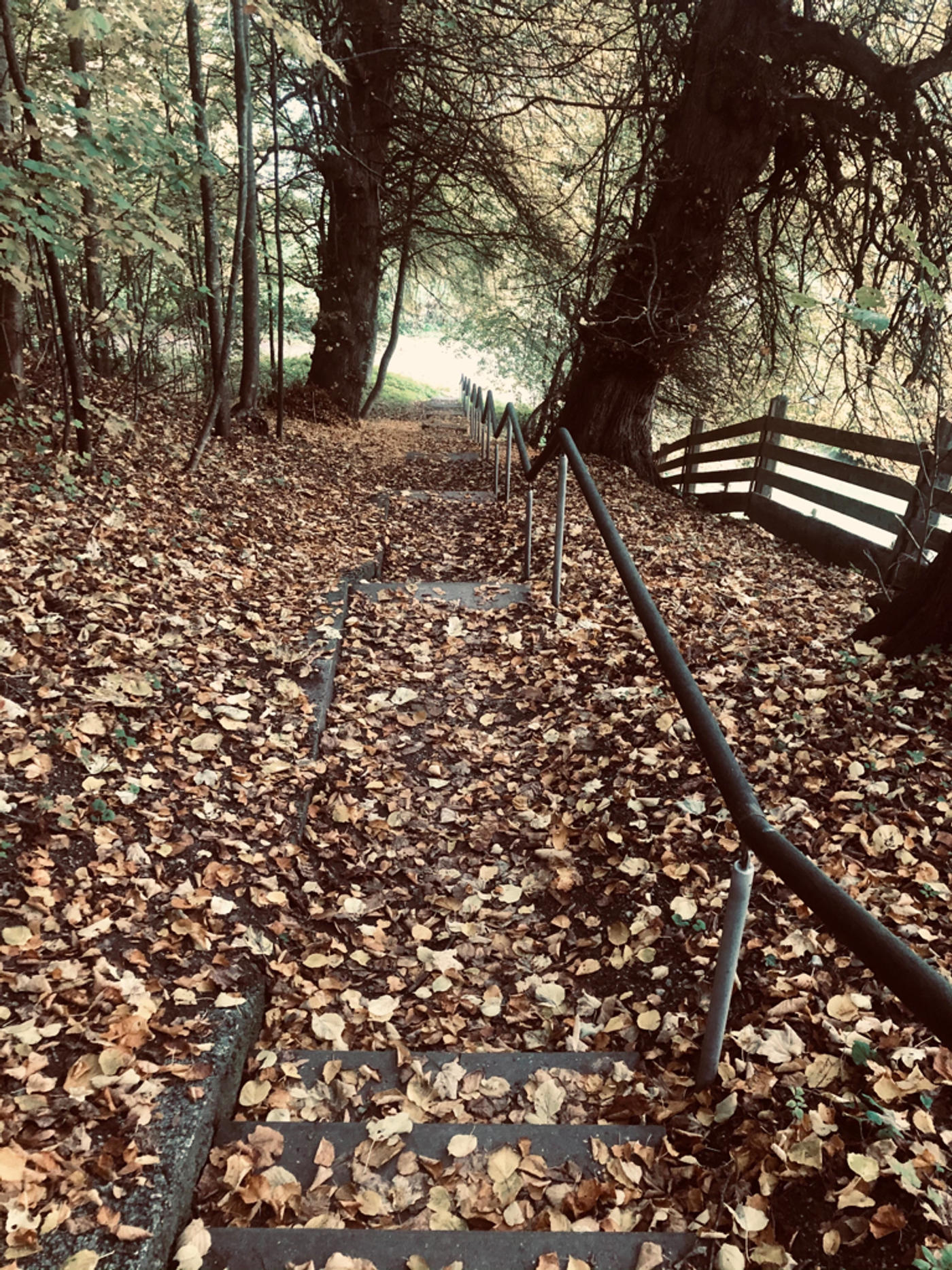 Der Weg ist das Ziel