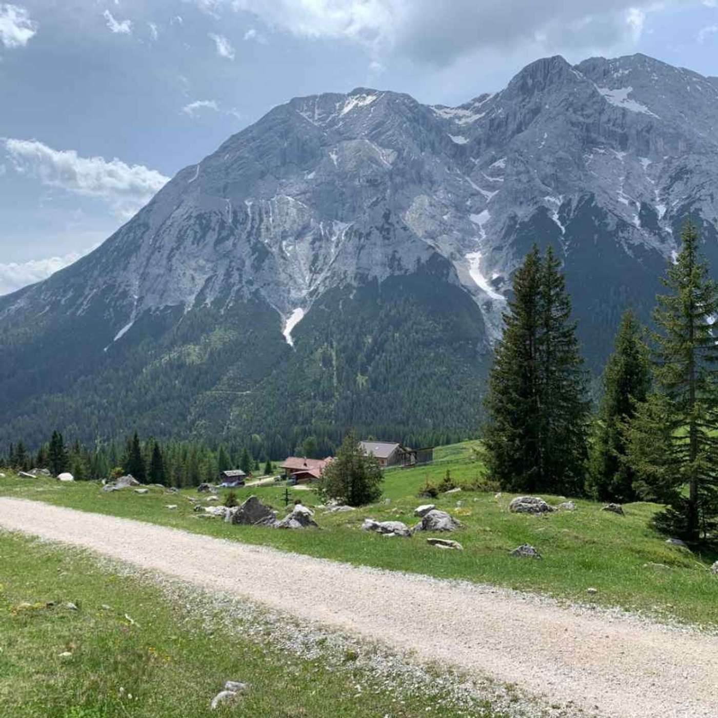 Hämmermoosalm in Tirol