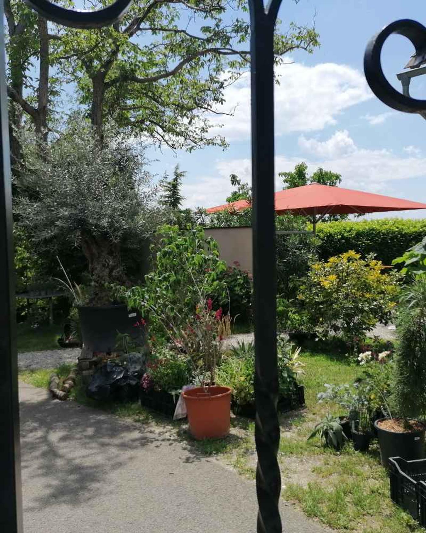 Schöner Garten, Besichtigung nur mit Voranmeldung! 