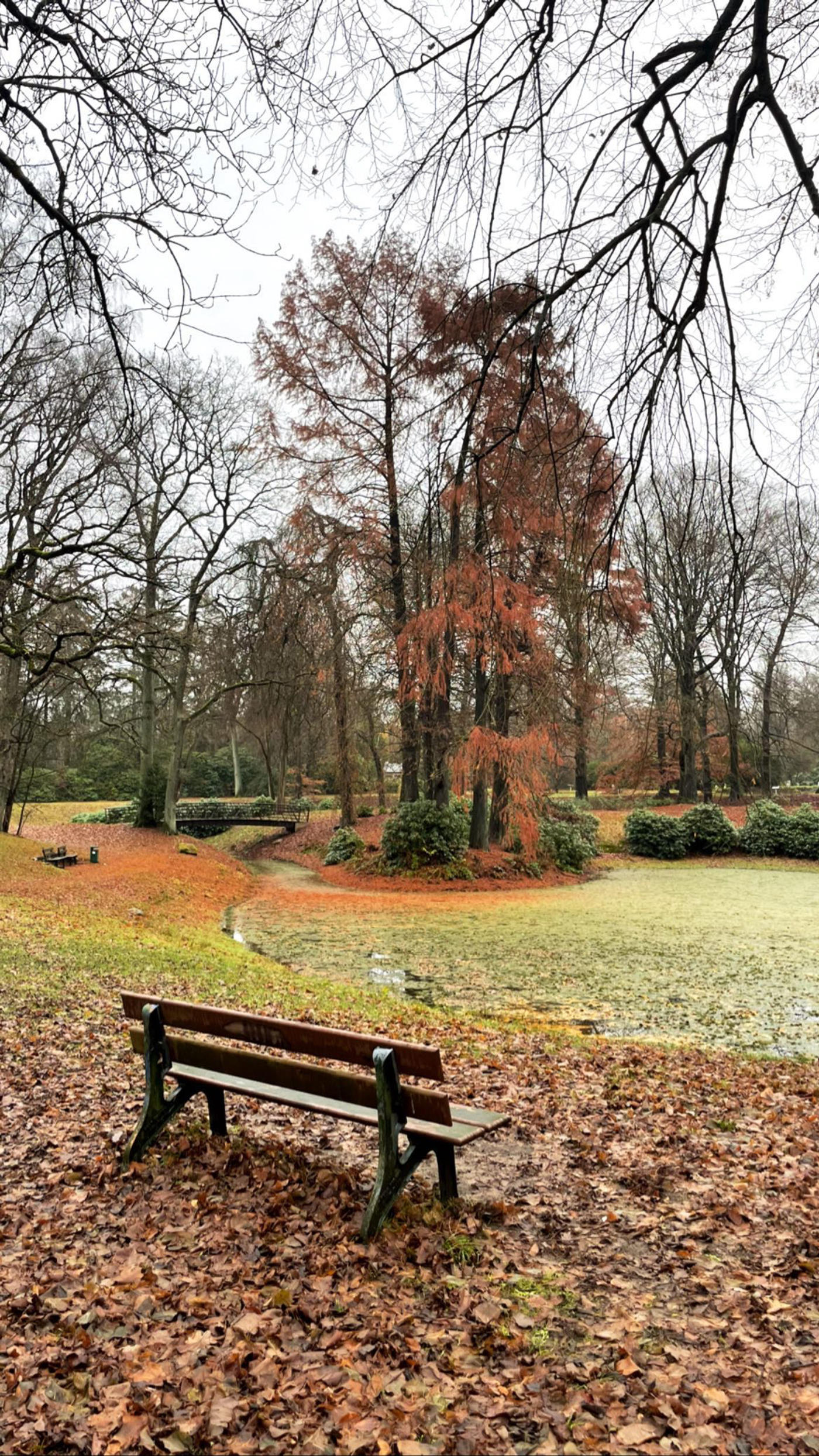 Magischer Friedhof voller Engel.