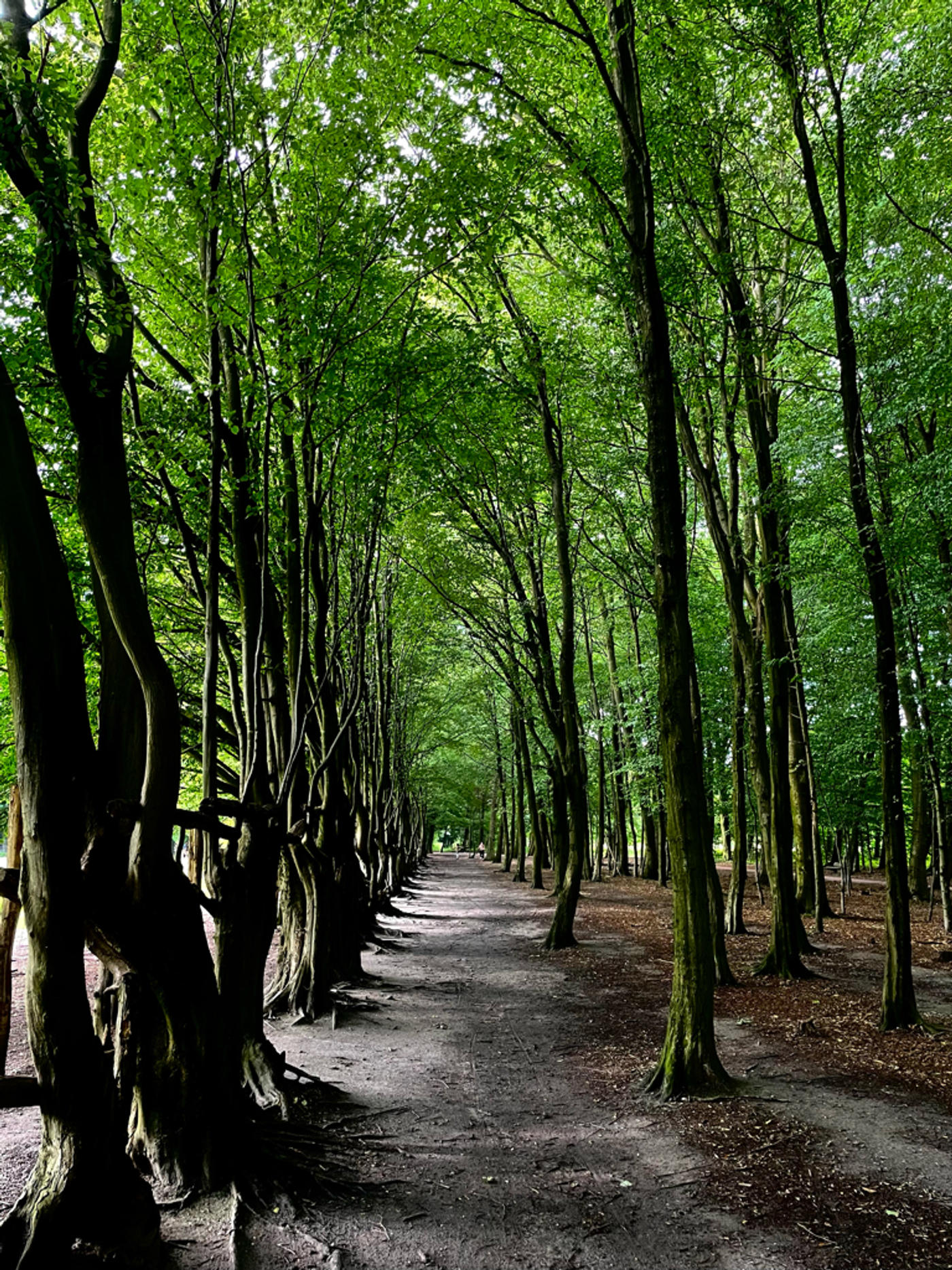 Hey Kumpel, ich habe Kastanien für dich gesammelt! 