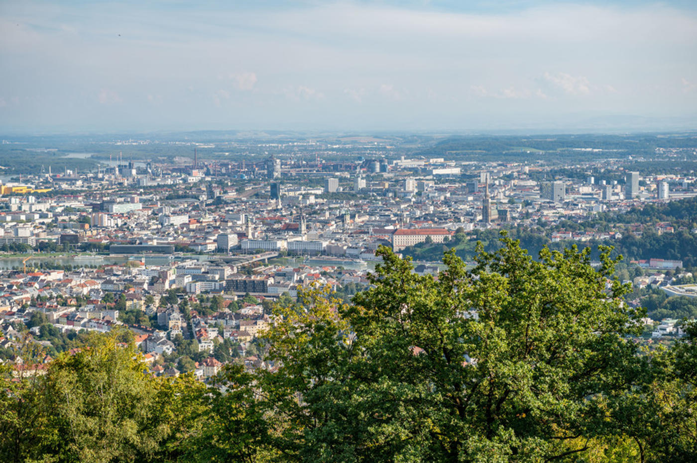 Magische Momente über den Dächern