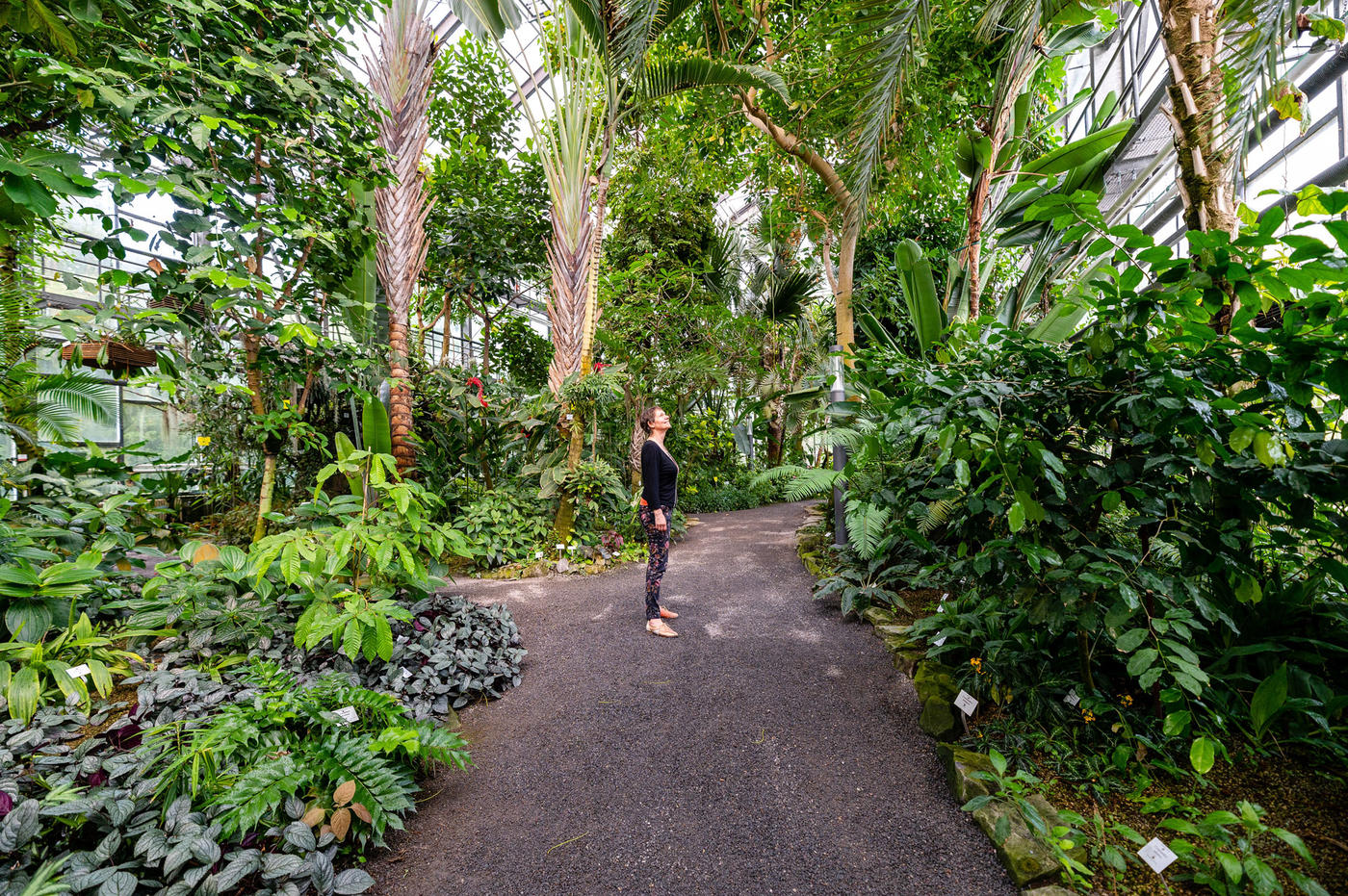 Grüne Oase mitten in der Stadt