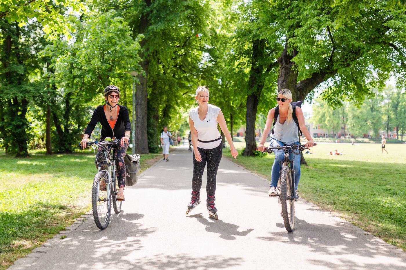 Wohlfühlplatz unter knorrigen Bäumen