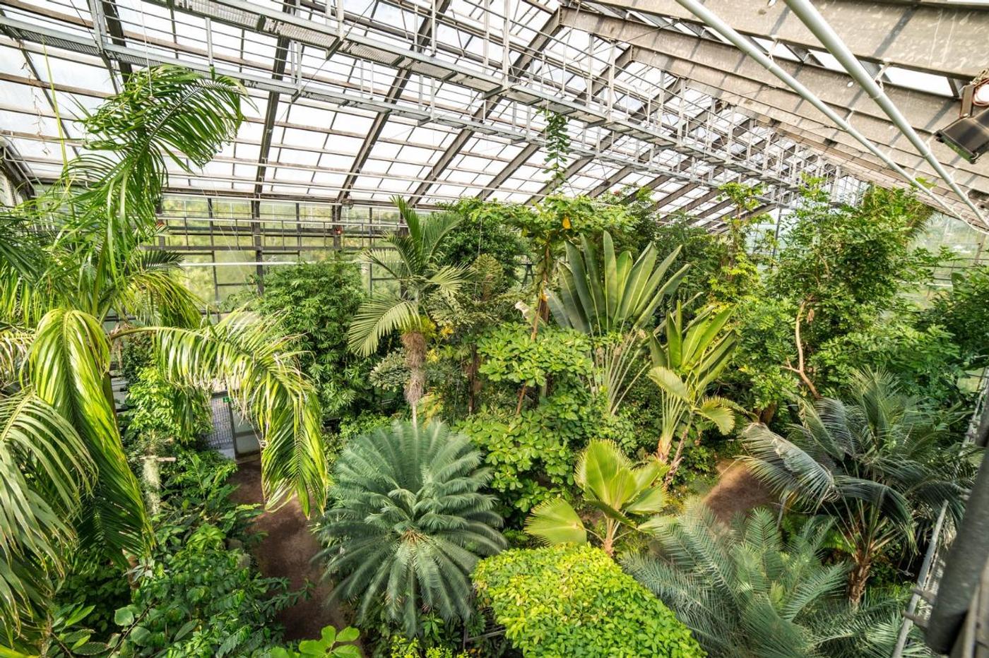 Grüne Oase mitten in der Stadt