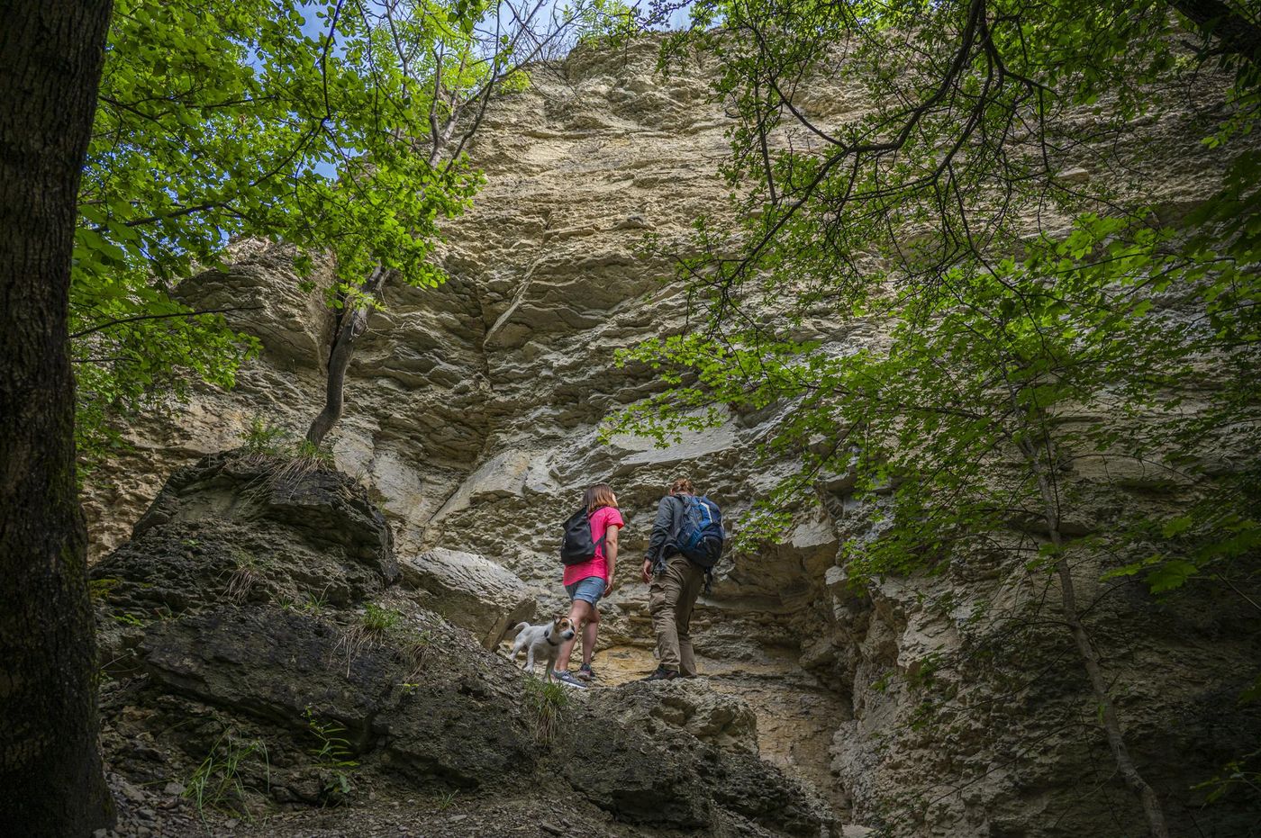 SaaleHorizontale - Atemberaubender Weitblick und Naturidylle