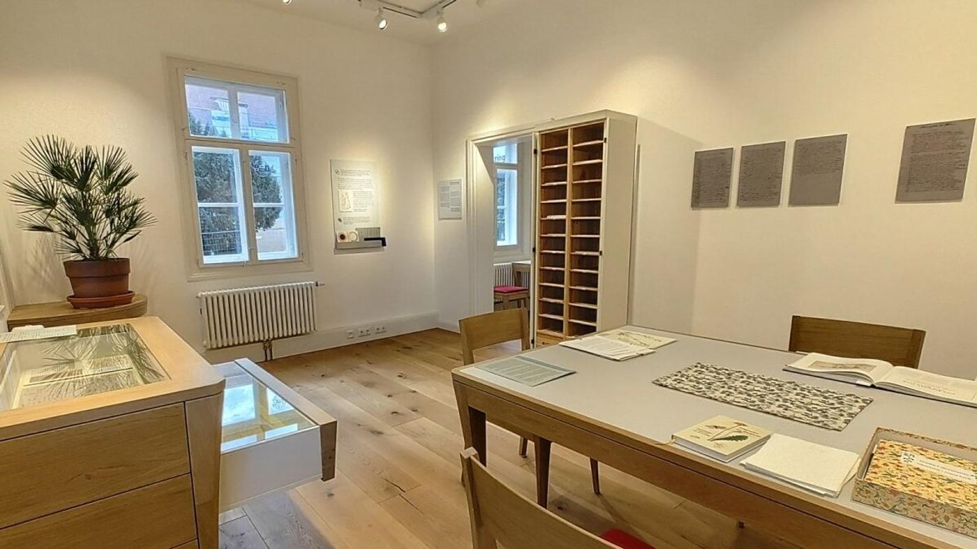 Auf den Spuren von Goethes Genialität