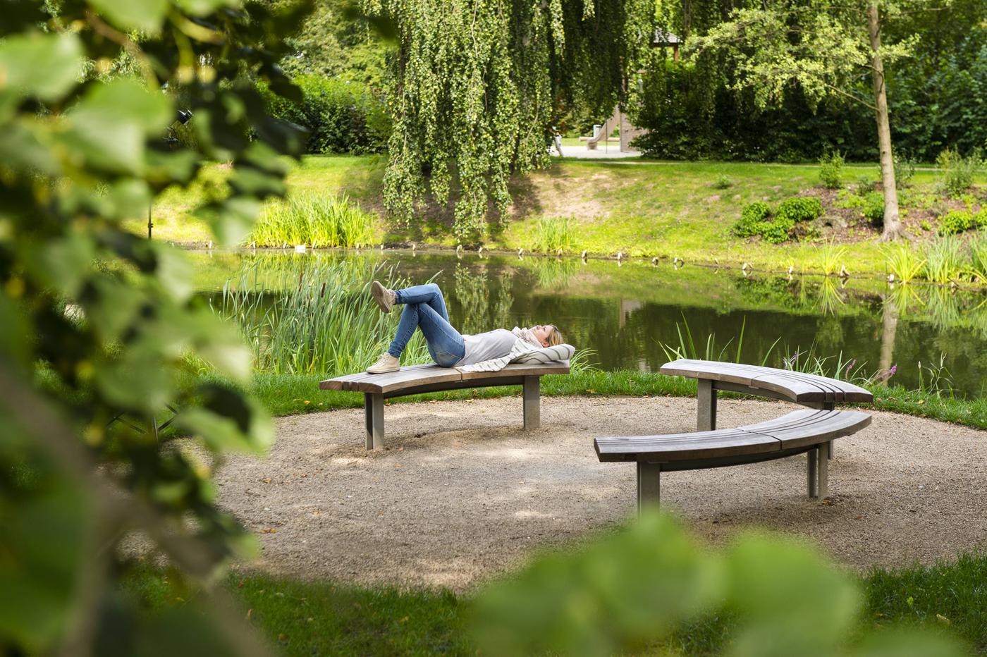Wohlfühlplatz unter knorrigen Bäumen