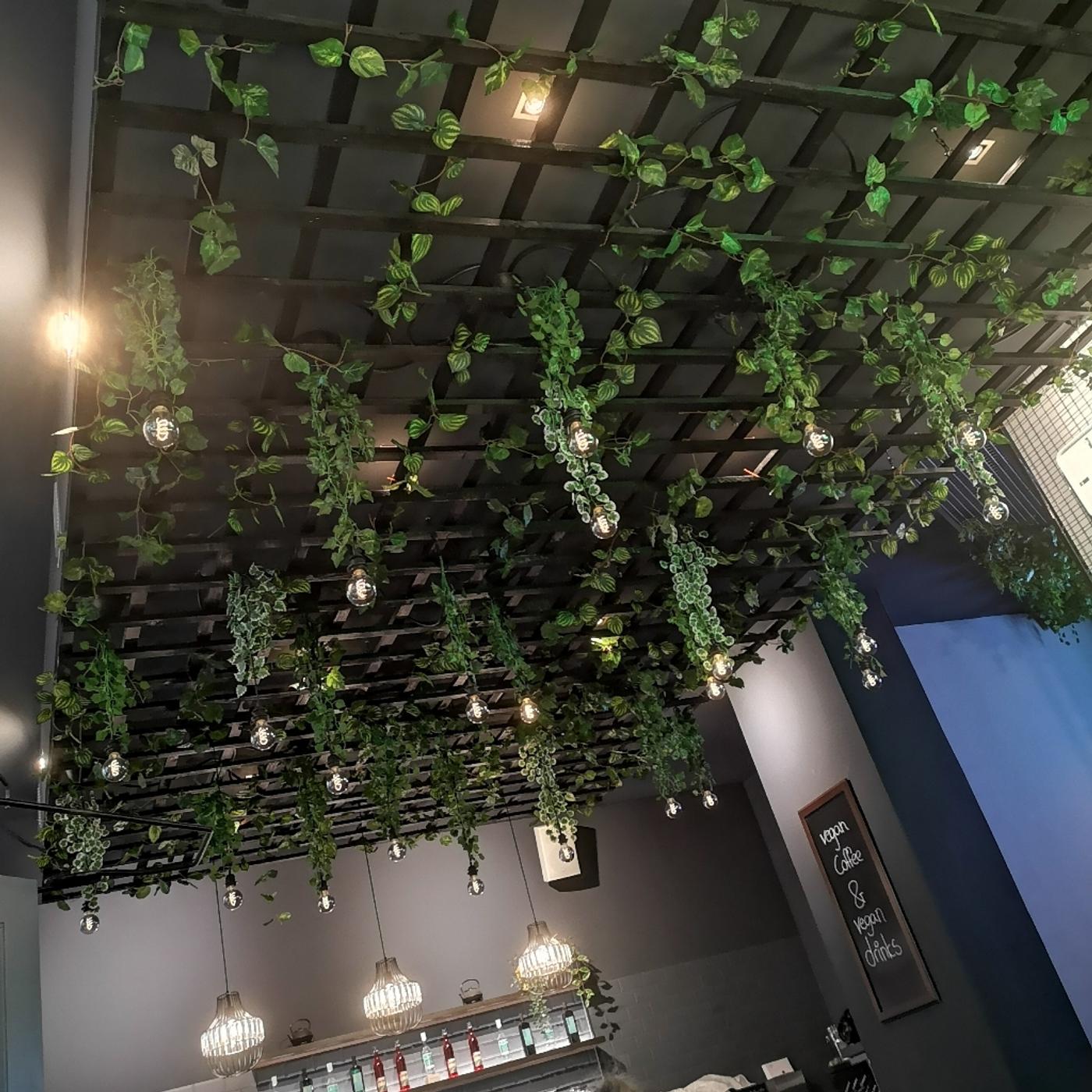 Monchi - vegan, freundlich, lecker 