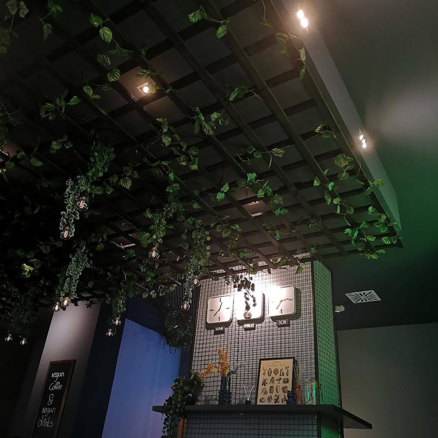 Monchi - vegan, freundlich, lecker 