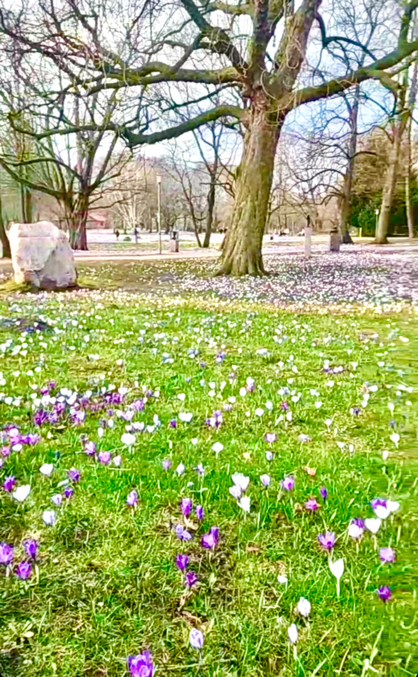 Großer Stadtpark in Rendsburg