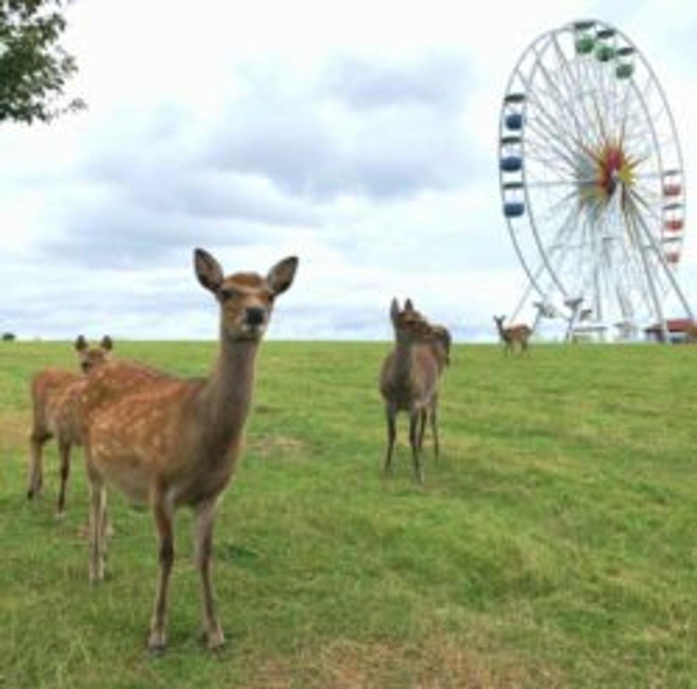 Familienabenteuer mit Übernachtung