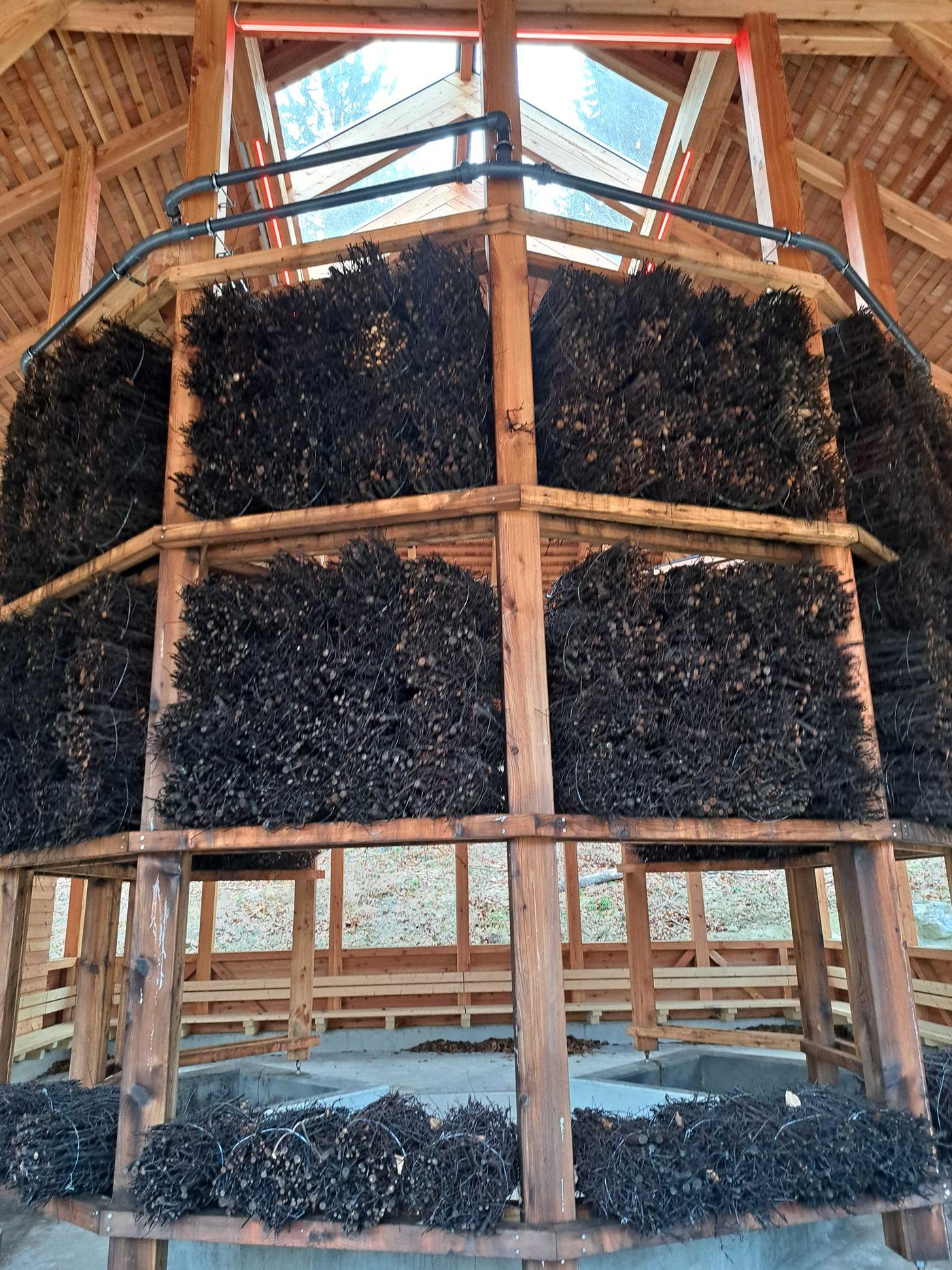 Gesund für die Atemwege