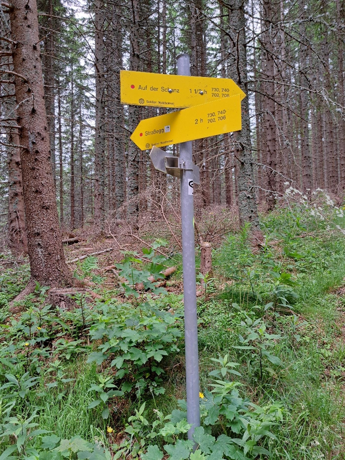 Wanderweg nach Mariazell