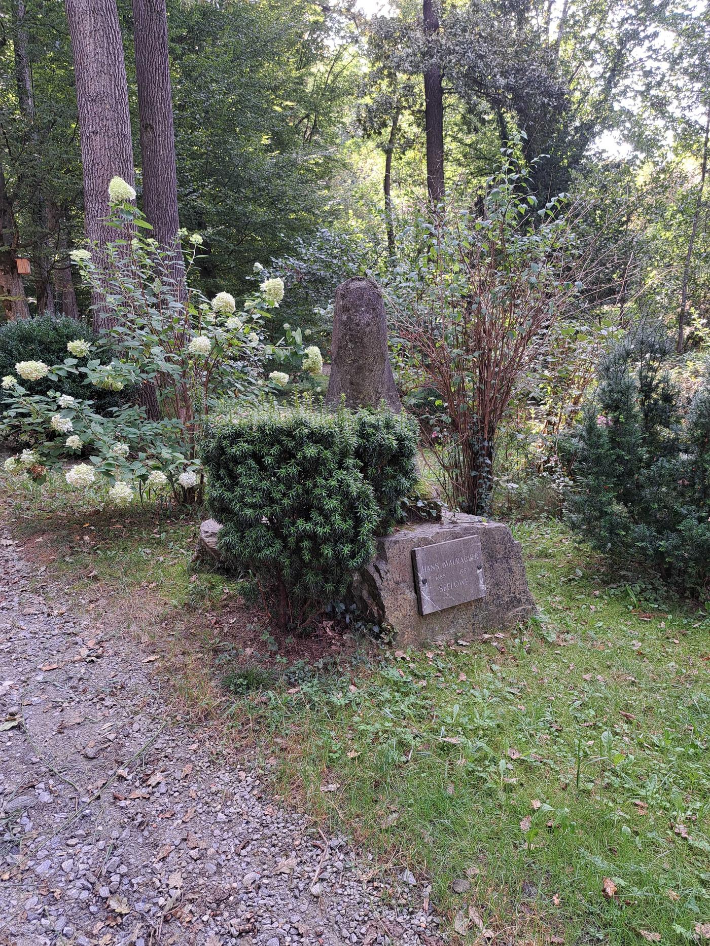 Herrlicher Spazierweg. Nähe "Häuserl im Wald"