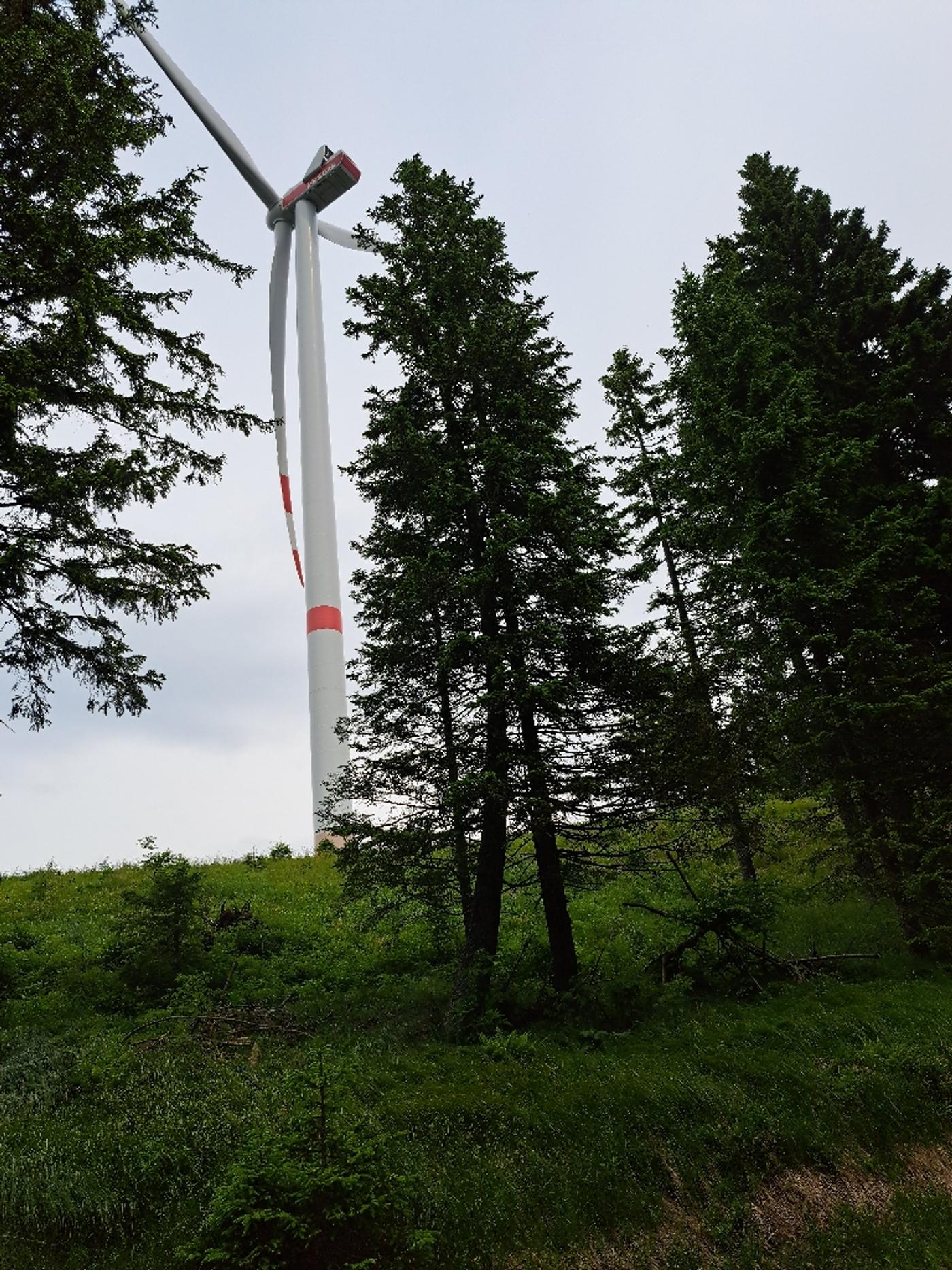 Wanderweg nach Mariazell