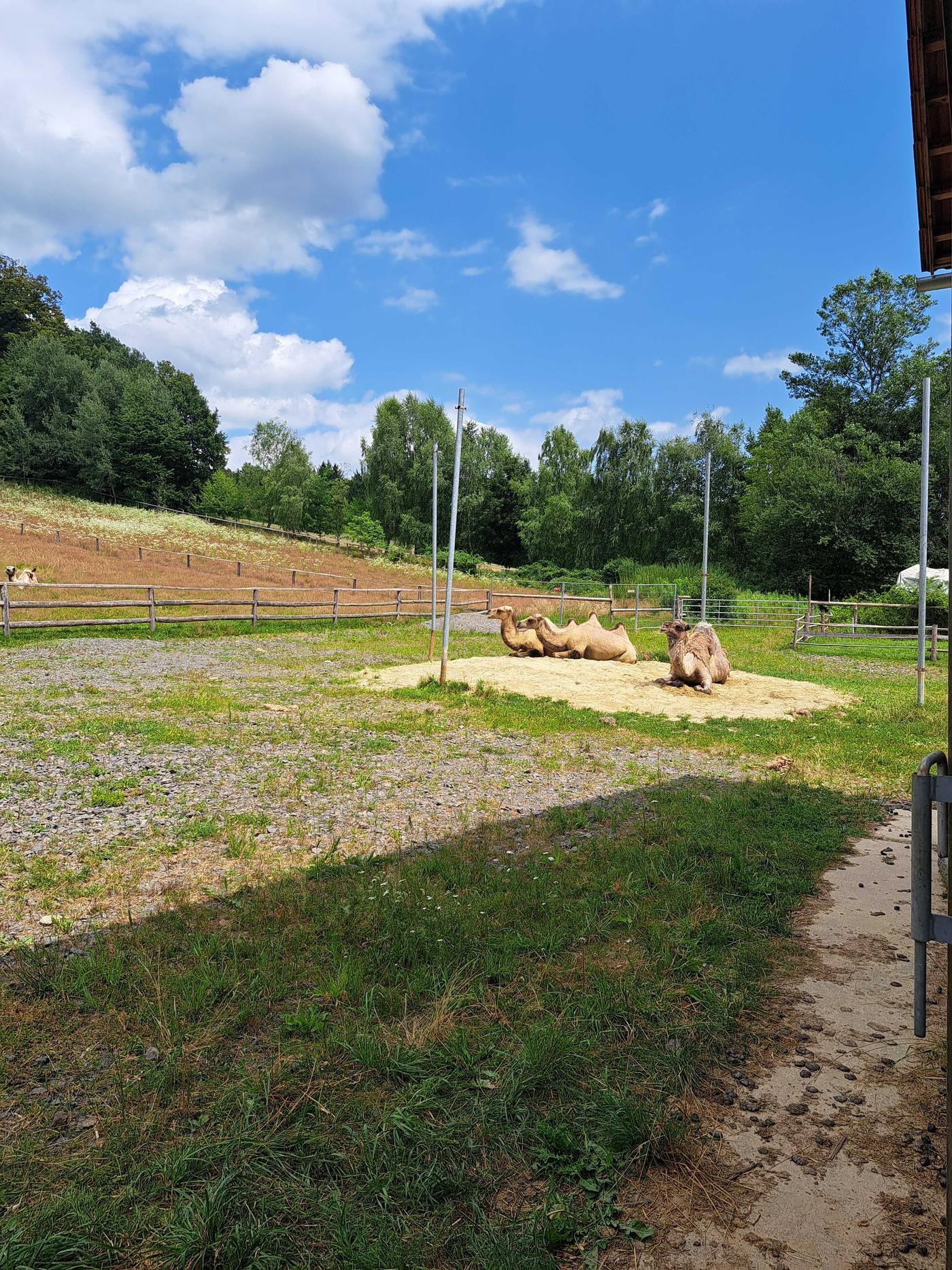 Toll zum Anschauen, spitzen Ausflugsziel für die ganze Familie