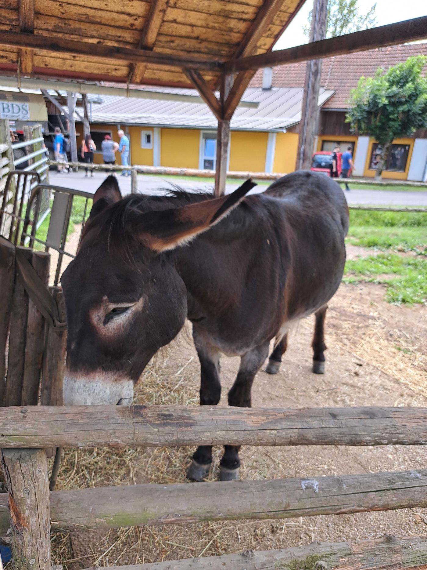 Toll zum Anschauen, spitzen Ausflugsziel für die ganze Familie