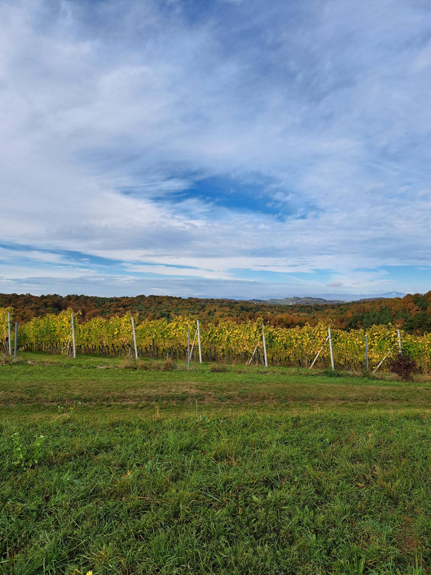 Toller Ausblick, schöner Wanderweg