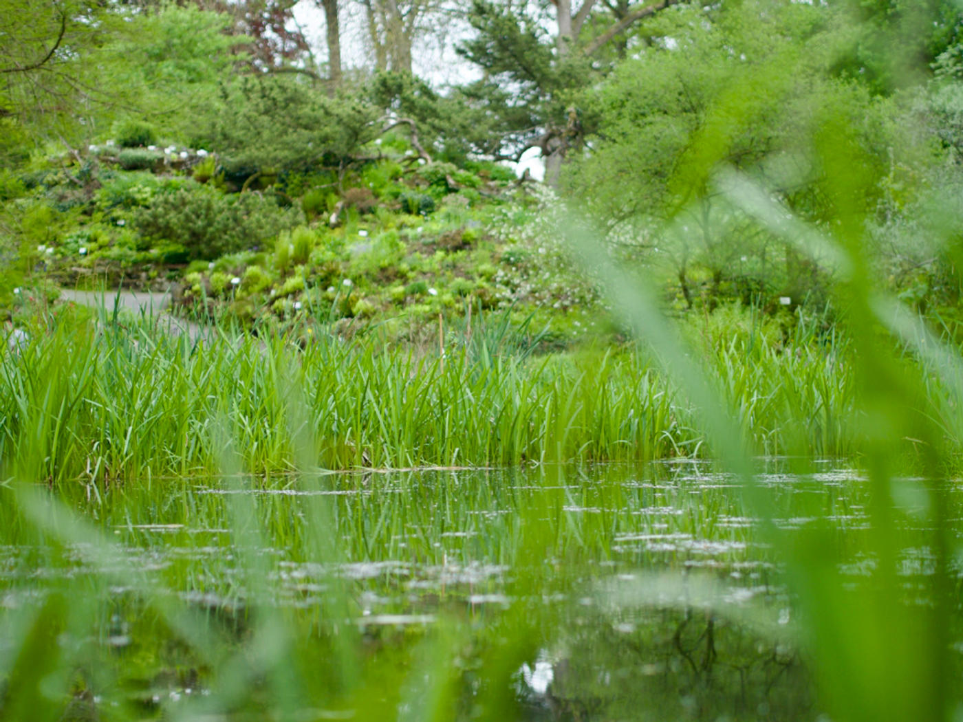 So schön kann Frühling!
