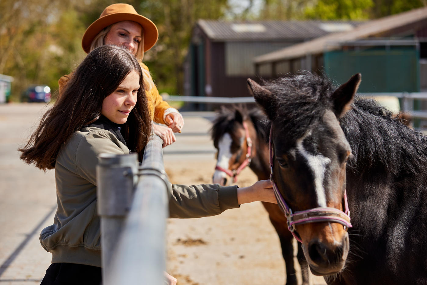 Mit den Pferden durch Butjadingen