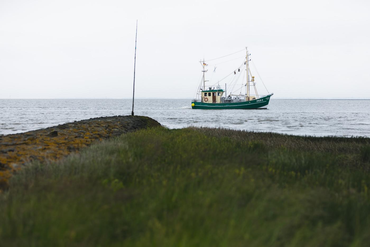 Krabbenkutter beobachten