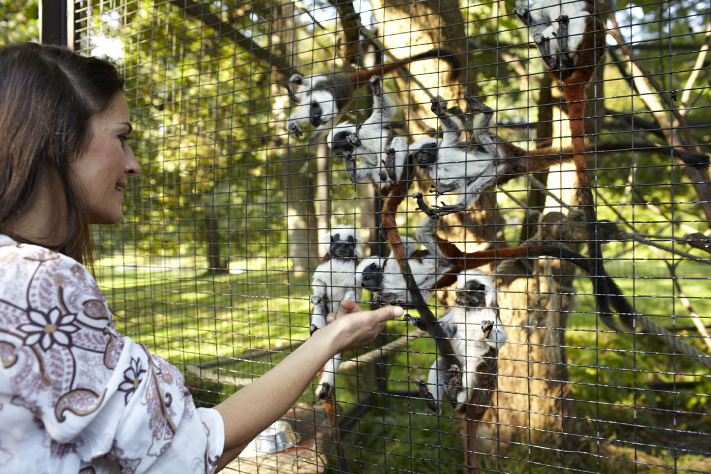 Ein Tag unter exotischen Tieren und Pflanzen