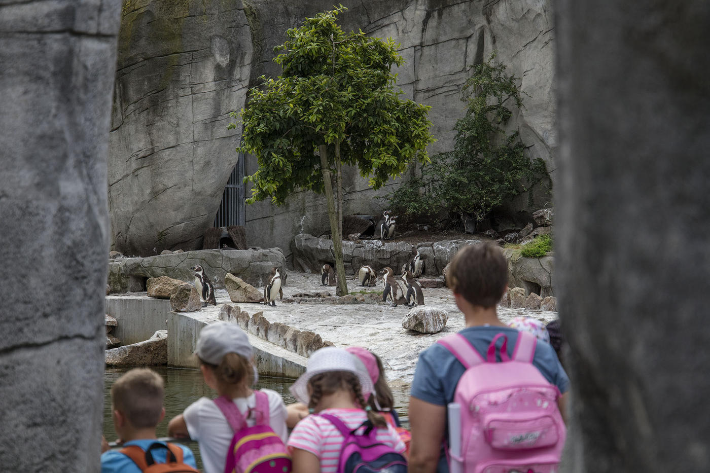 Ein Tag unter exotischen Tieren und Pflanzen