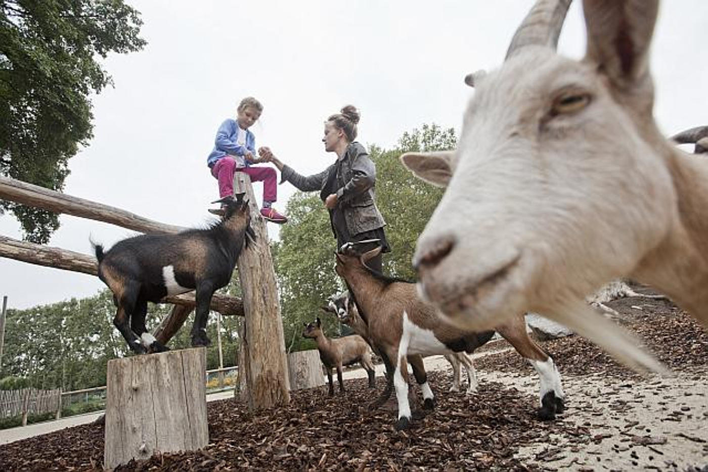 Ein Tag unter exotischen Tieren und Pflanzen