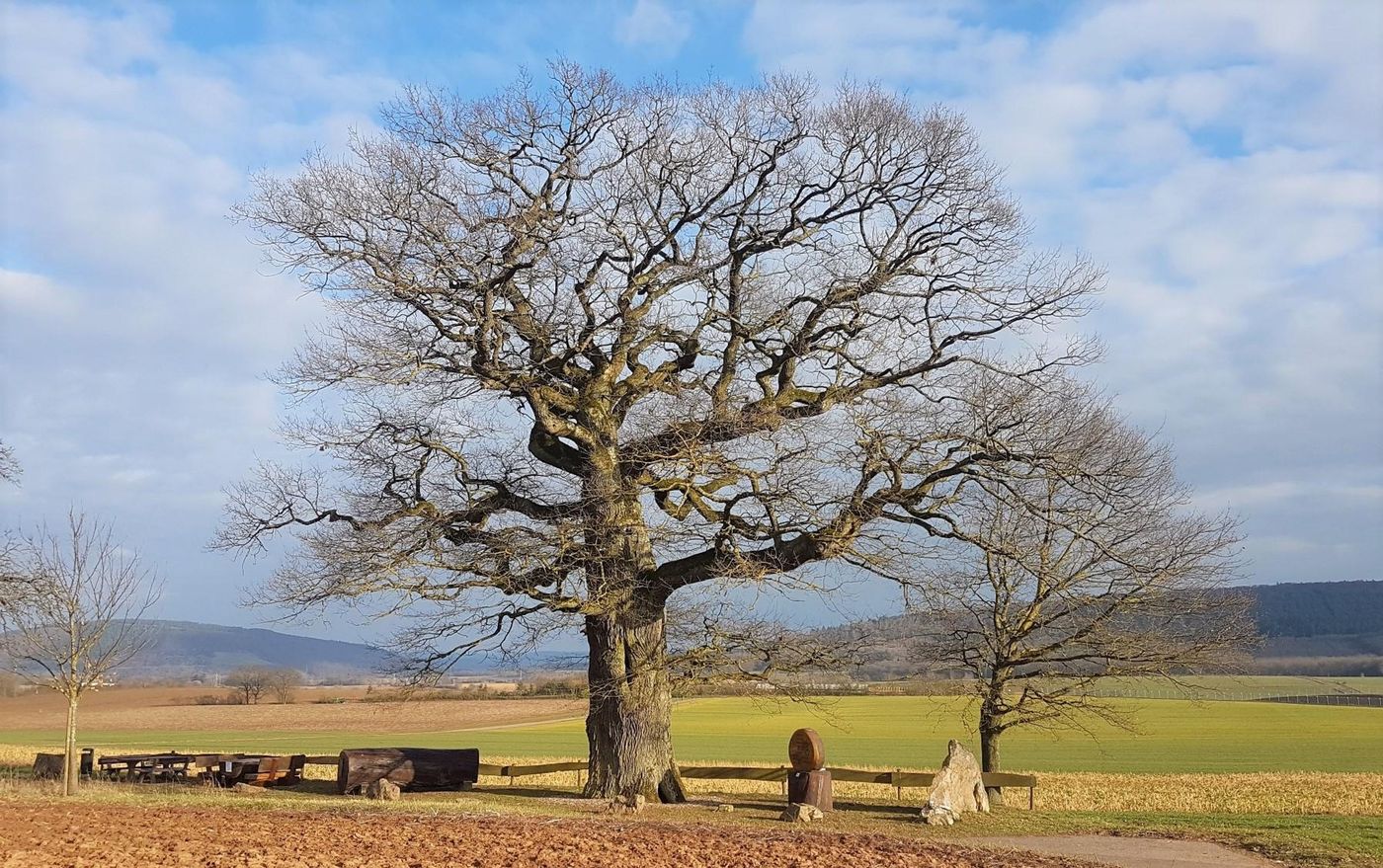 Majestätischer Riese der Natur