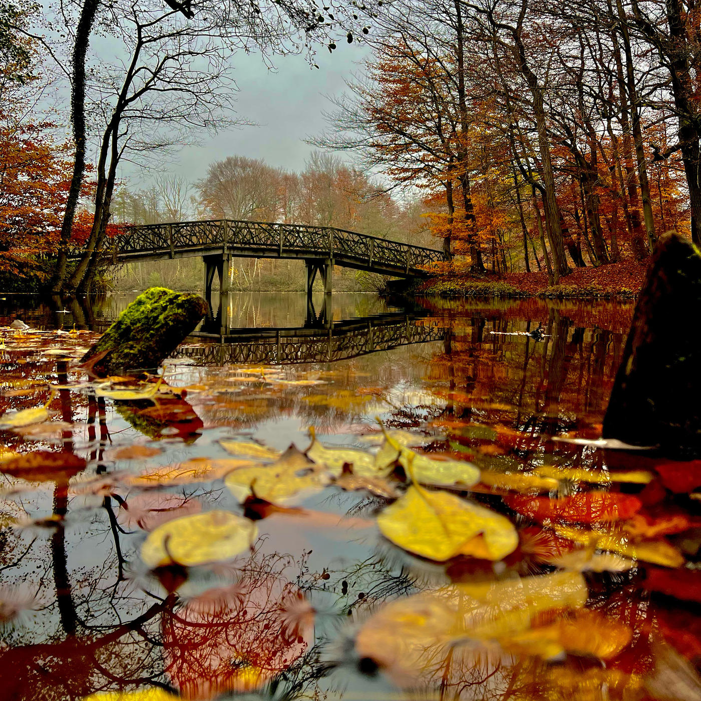 Die Knüppelbrücke ist vor allem Herbst ein toller Ort