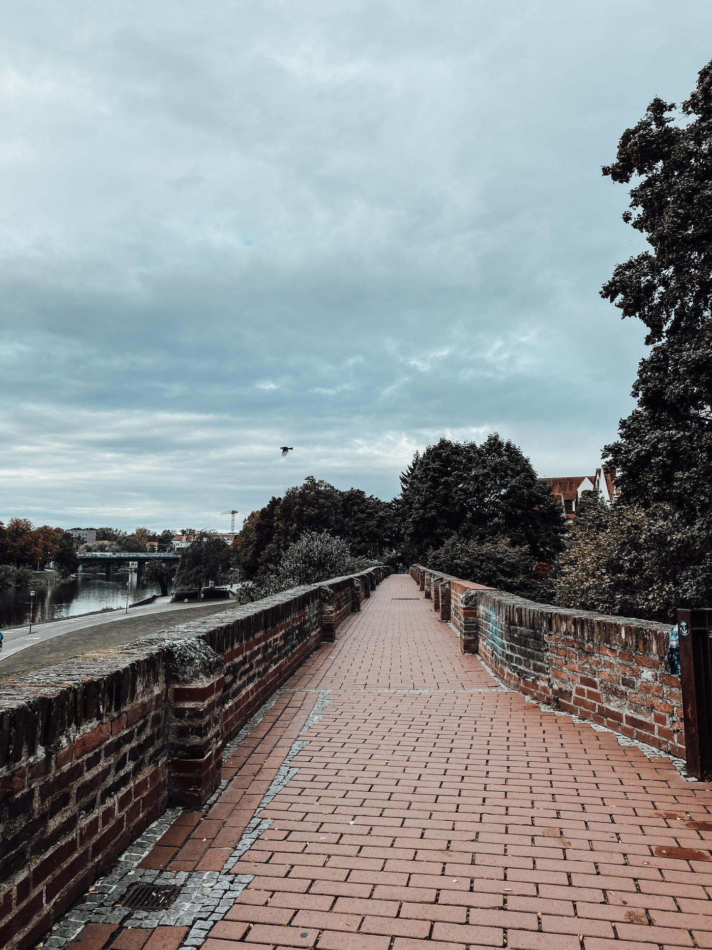 Auf der Mauer, auf der Lauer…