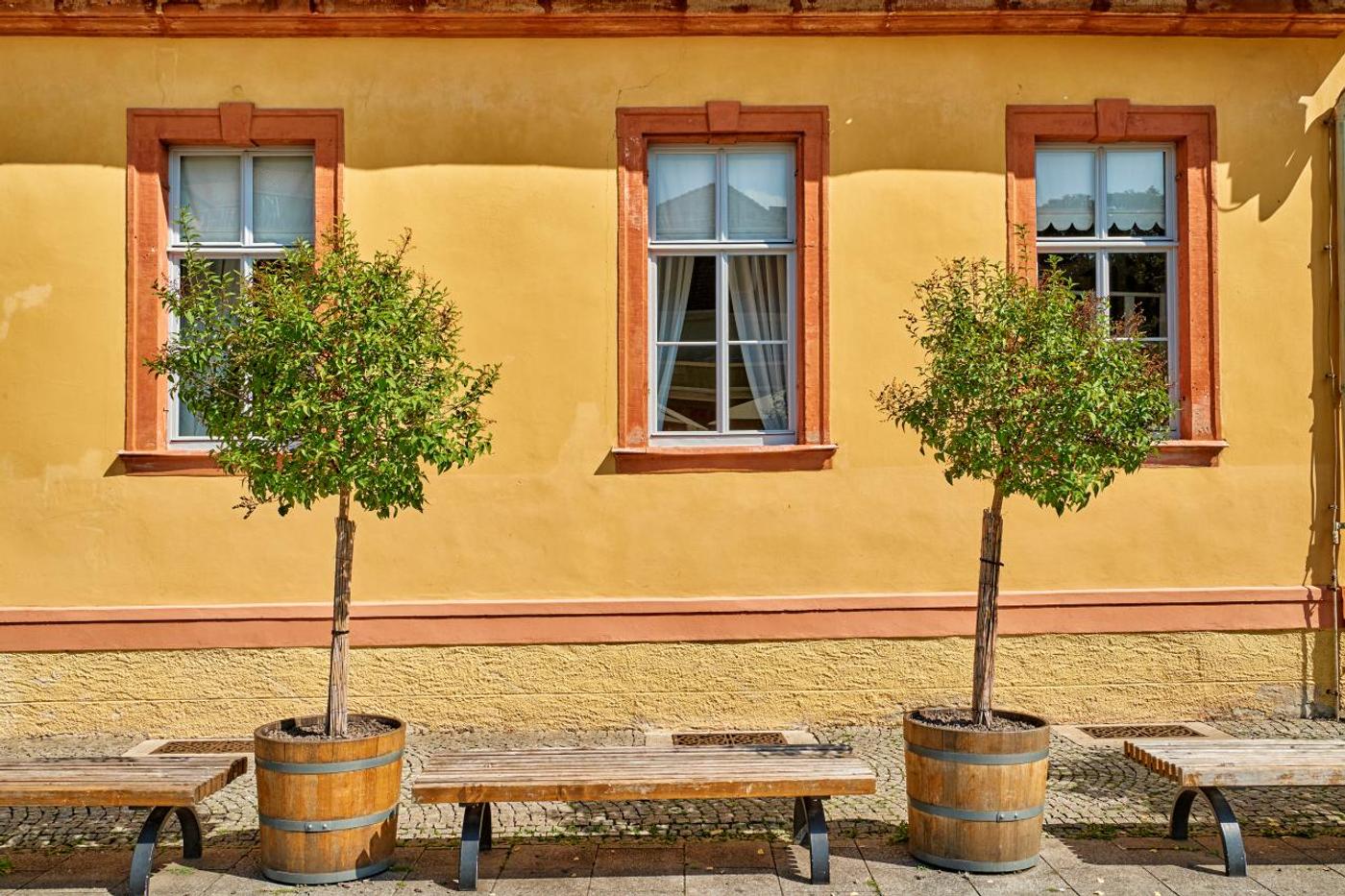 Eine Reise in die Geschichte und Kultur Weimars