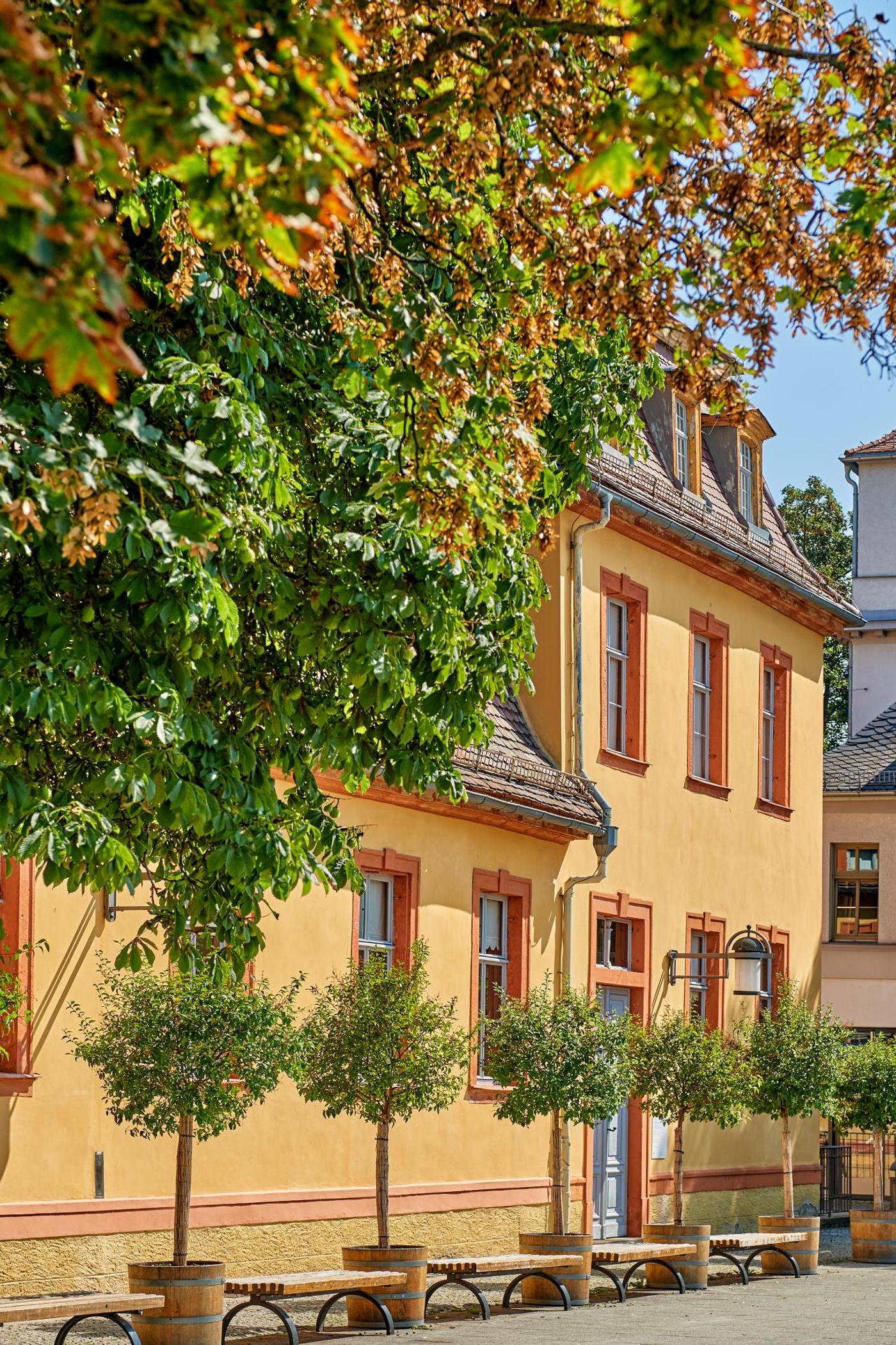 Eine Reise in die Geschichte und Kultur Weimars