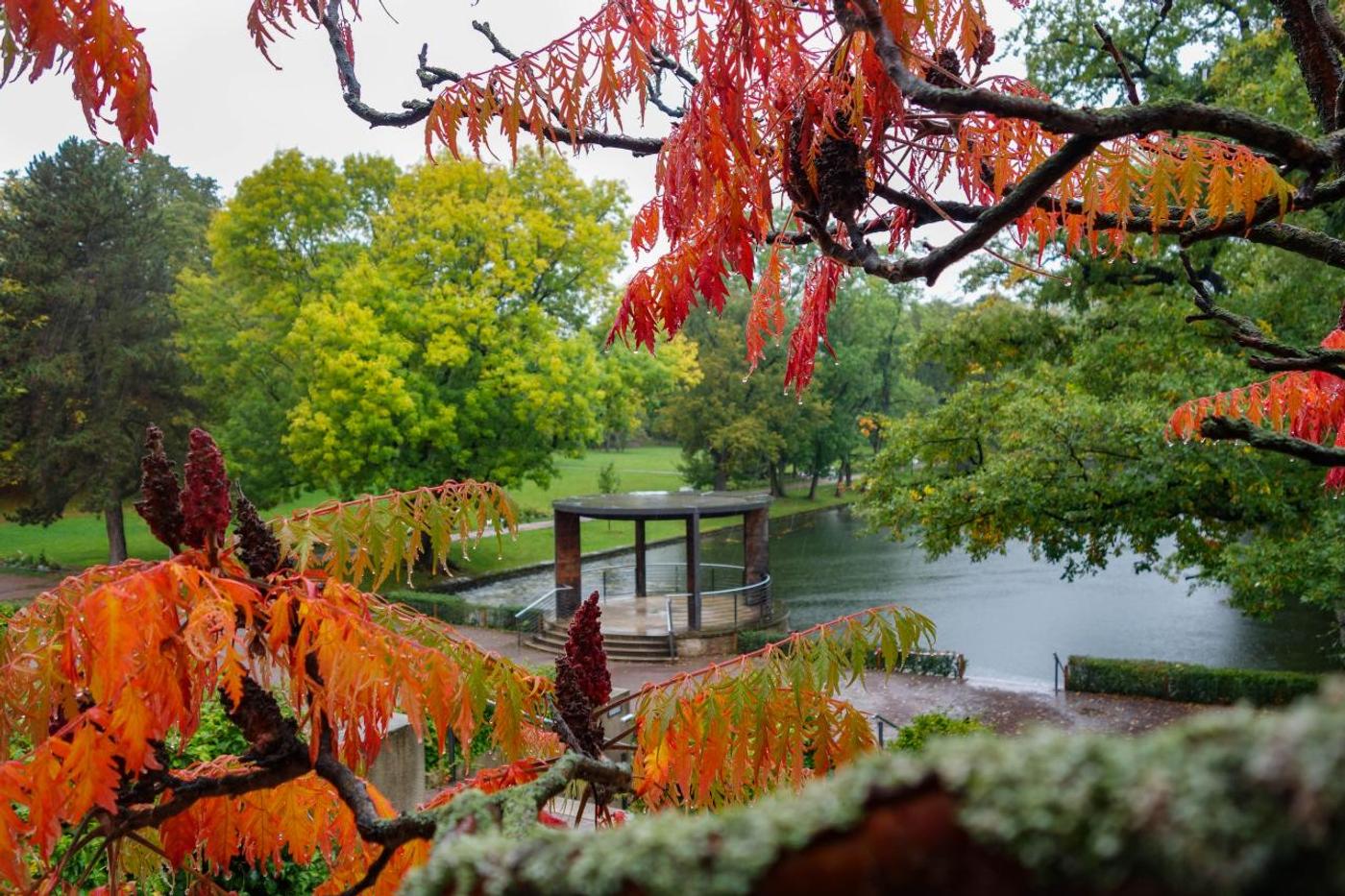 Naturparadies in der Stadt