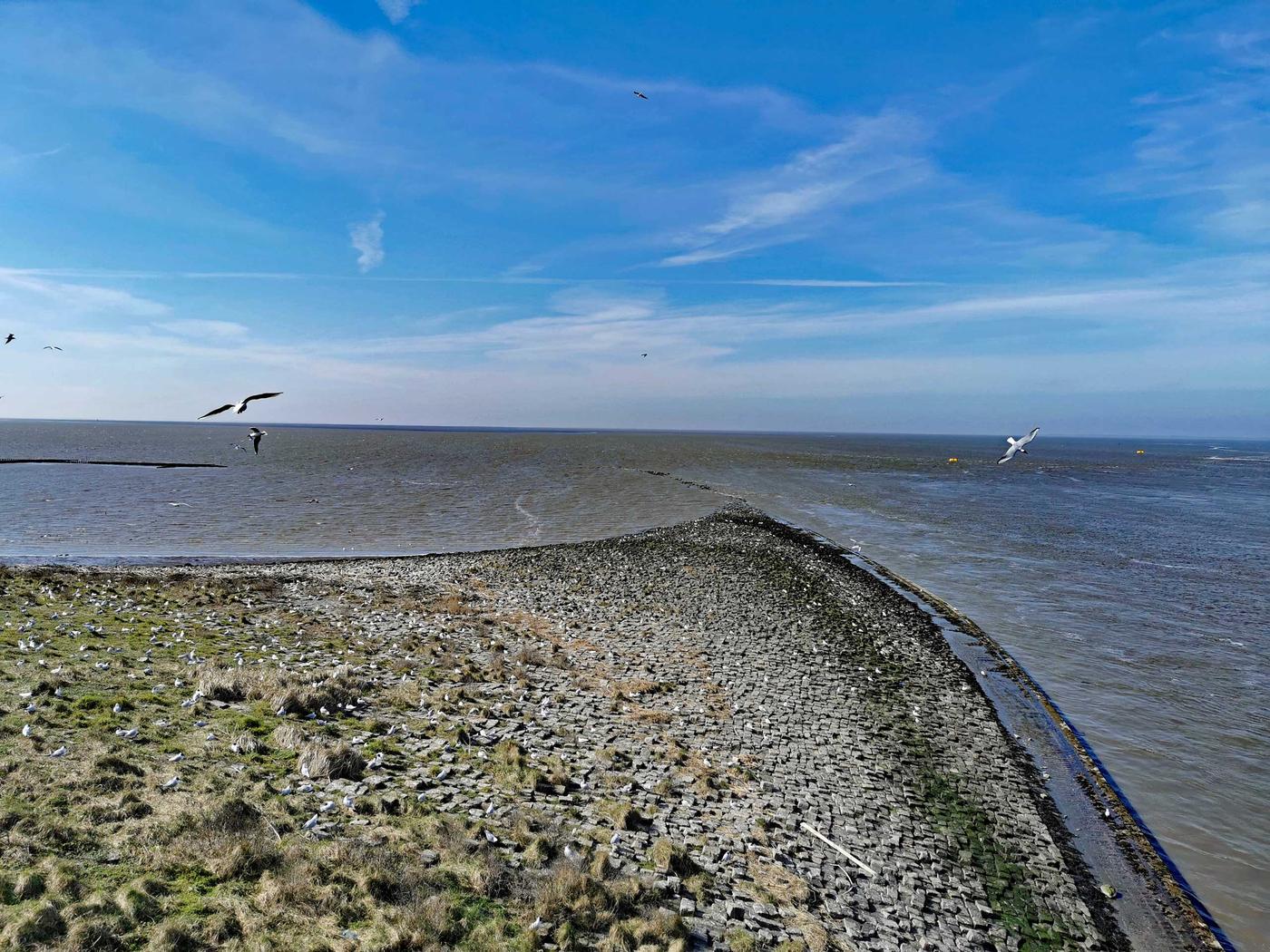 Faszinierende Küstenschutztechnik entdecken