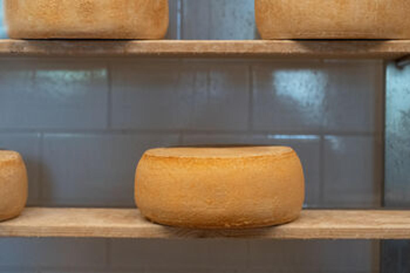 Ein Genuss für Käseliebhaber