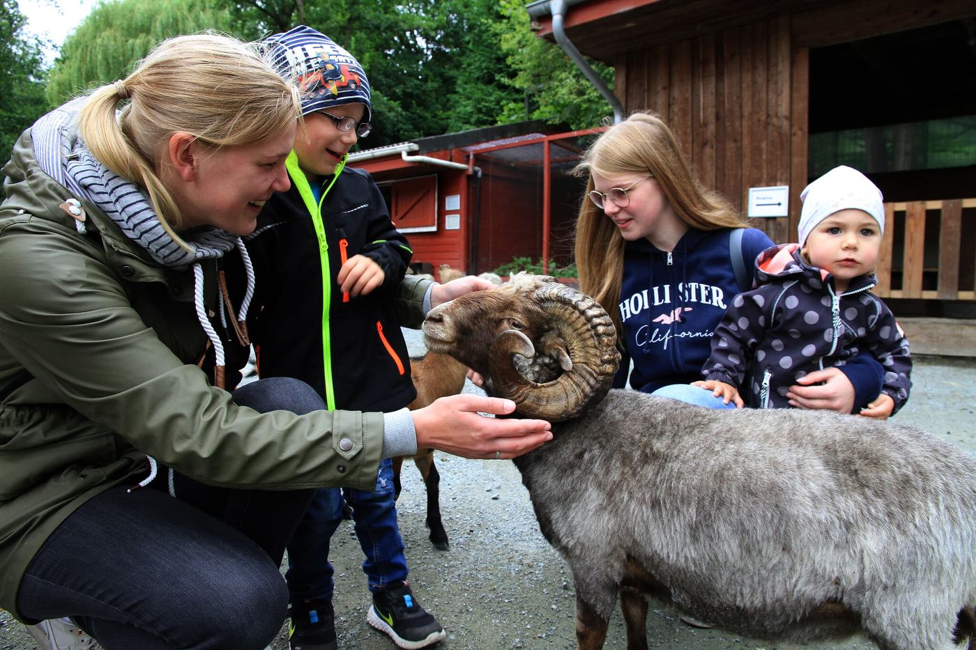 Tierisches Abenteuer im Waldgehege