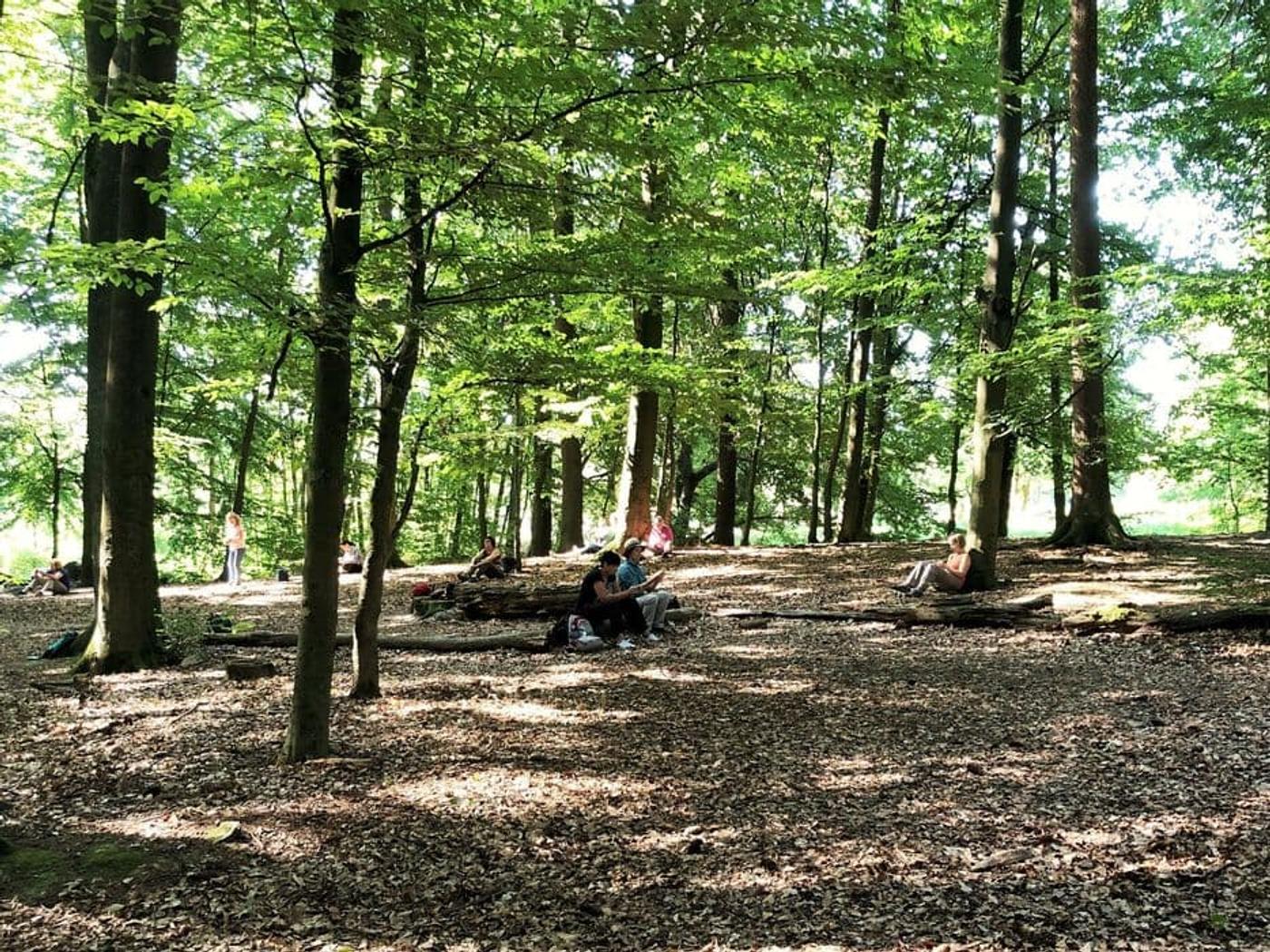Wohltuende Naturerlebnisse in Küstennähe