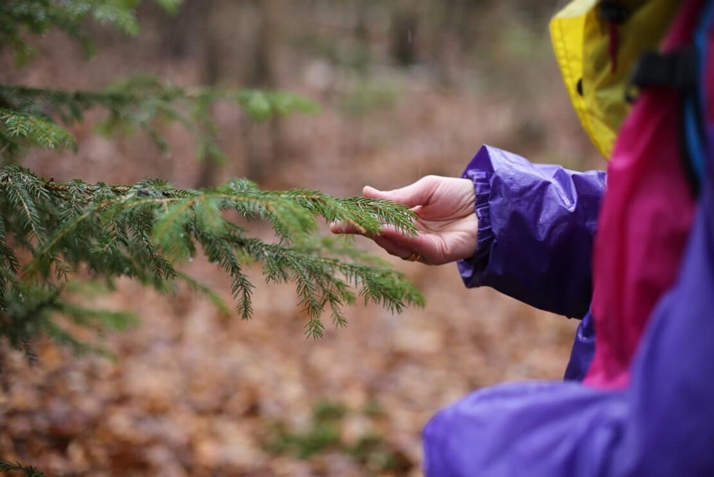Wohltuende Naturerlebnisse in Küstennähe
