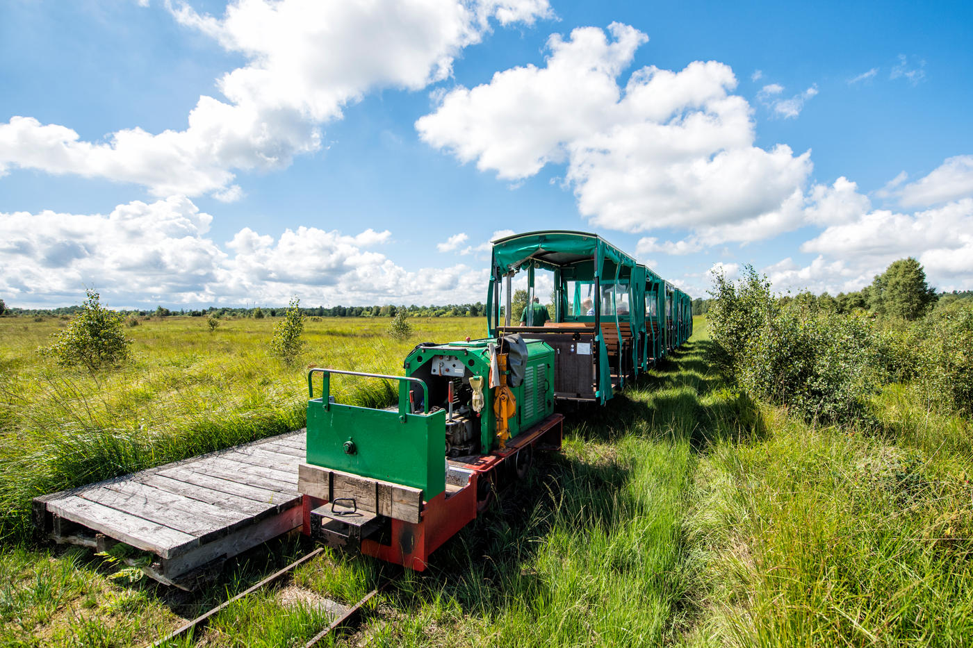 Entdeckertour ins mystische Moor