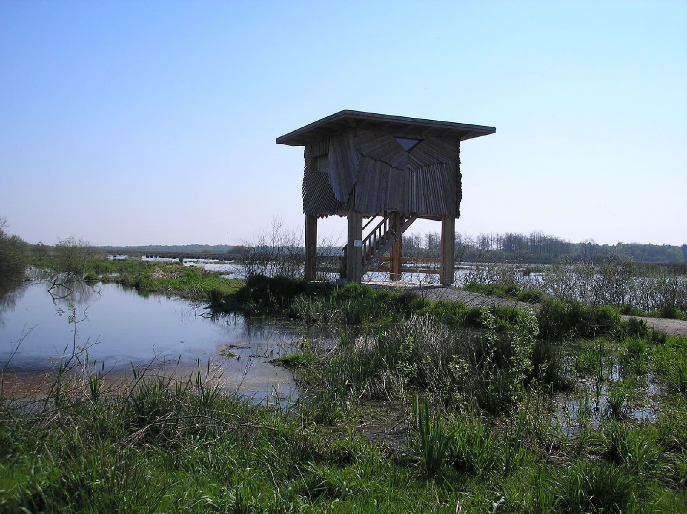 Entdecke die vielfältige Flora und Fauna am Polder