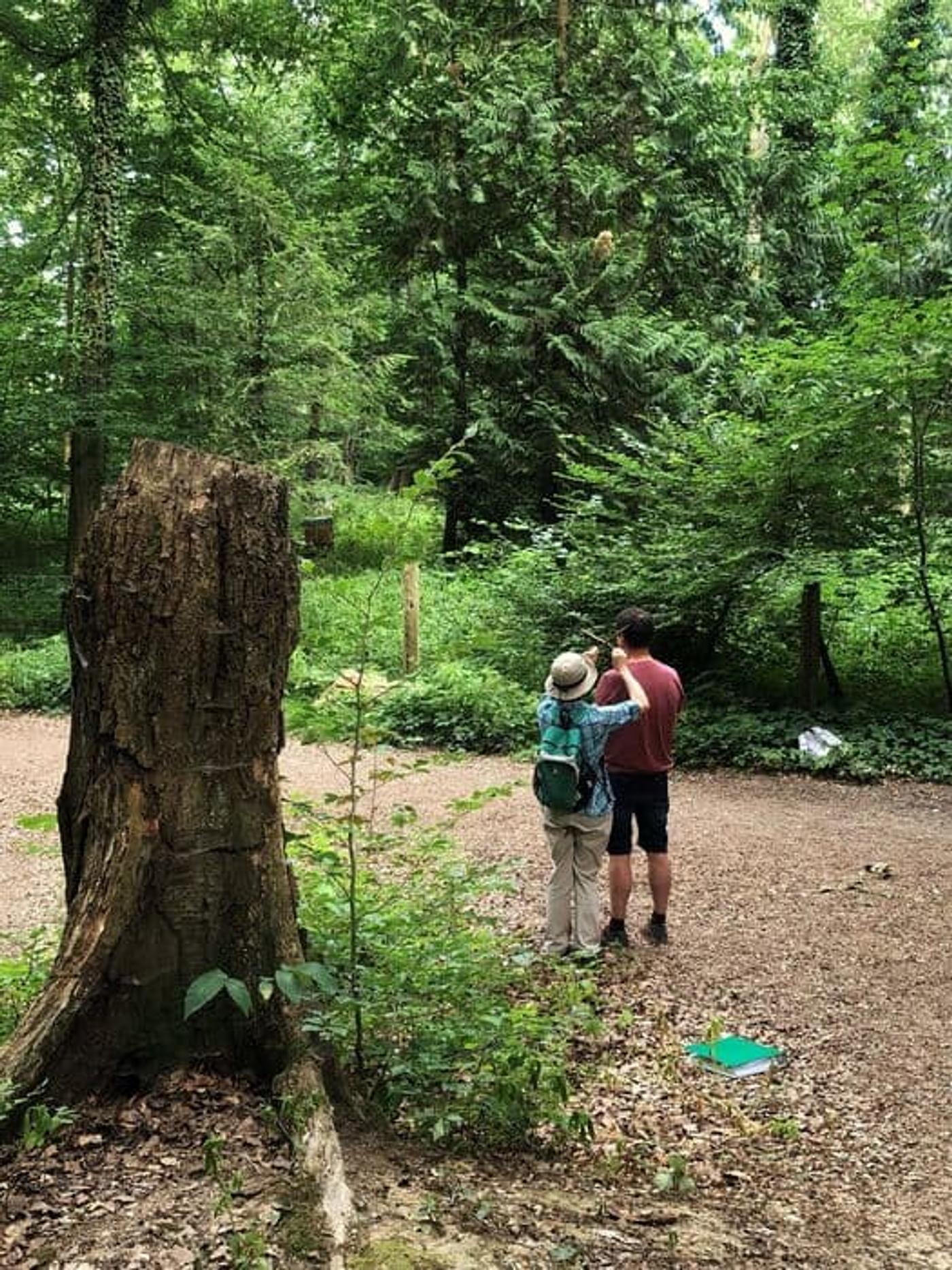 Wohltuende Naturerlebnisse in Küstennähe