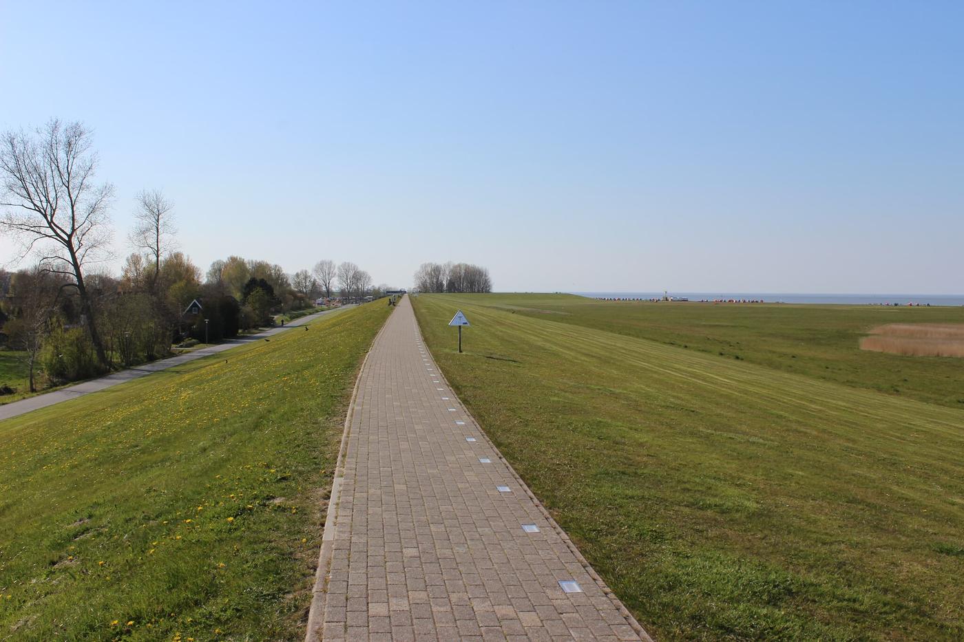 Erlebe die Elbmündung hautnah auf dem Küstendeich